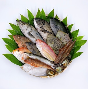 【特別価格】おまかせ鮮魚セット　（冷蔵）