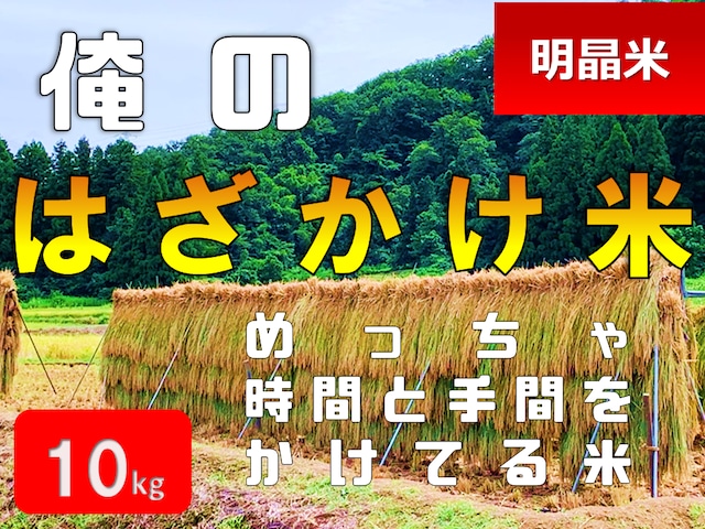 【令和5年産完売】「究極の俺の米」山水で作った人力はざかけコシヒカリ（10kg）