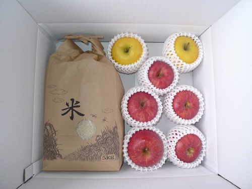 サンフジ・はるかとひとめぼれ5kg 詰合せ！