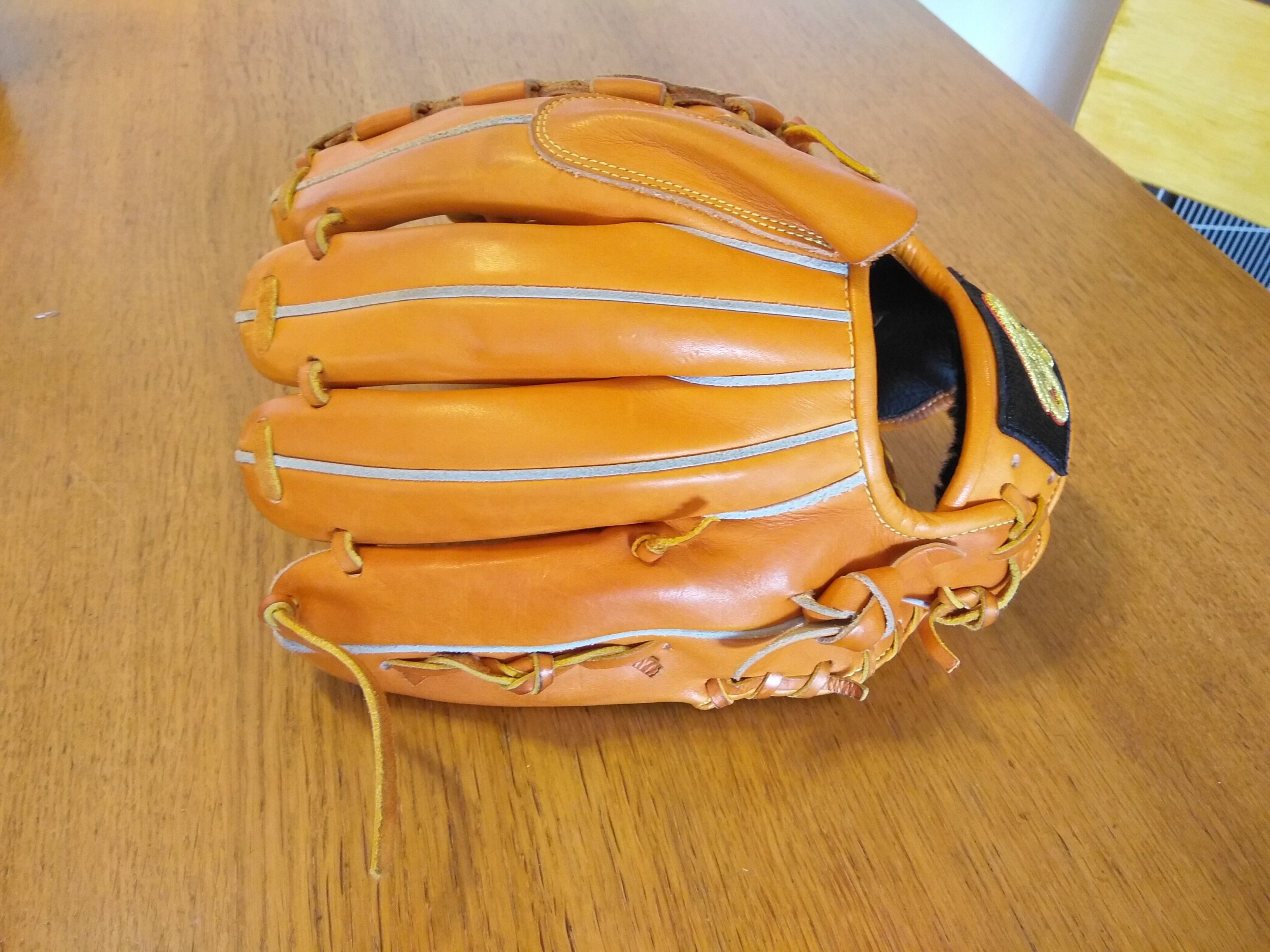 DONAIYA ドナイヤ 軟式 投手・内野手用 グローブ 右投用 | sunnyna