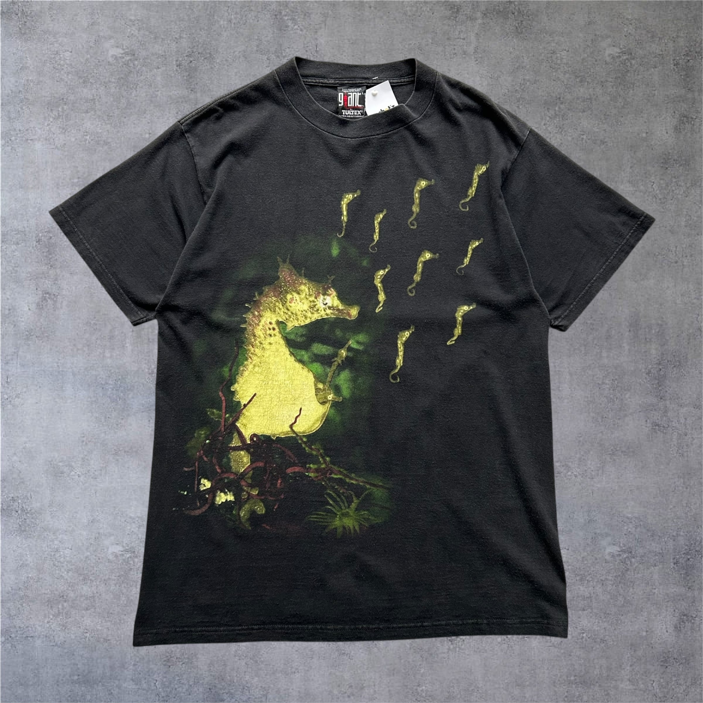 Special!! 1990s Nirvana "All Apologies" T-shirt【高円寺店】