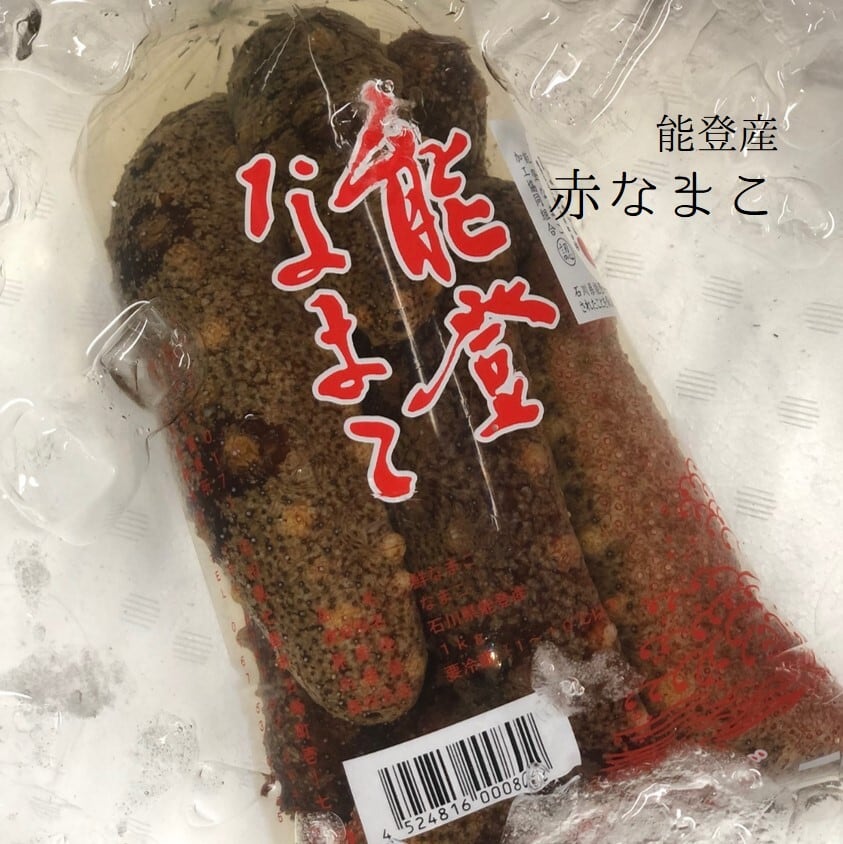 赤ナマコ 能登産 １キロ袋 赤なまこ１kg 冷蔵 豊洲直送 Okawari 豊洲直送の高級海産物をお届け