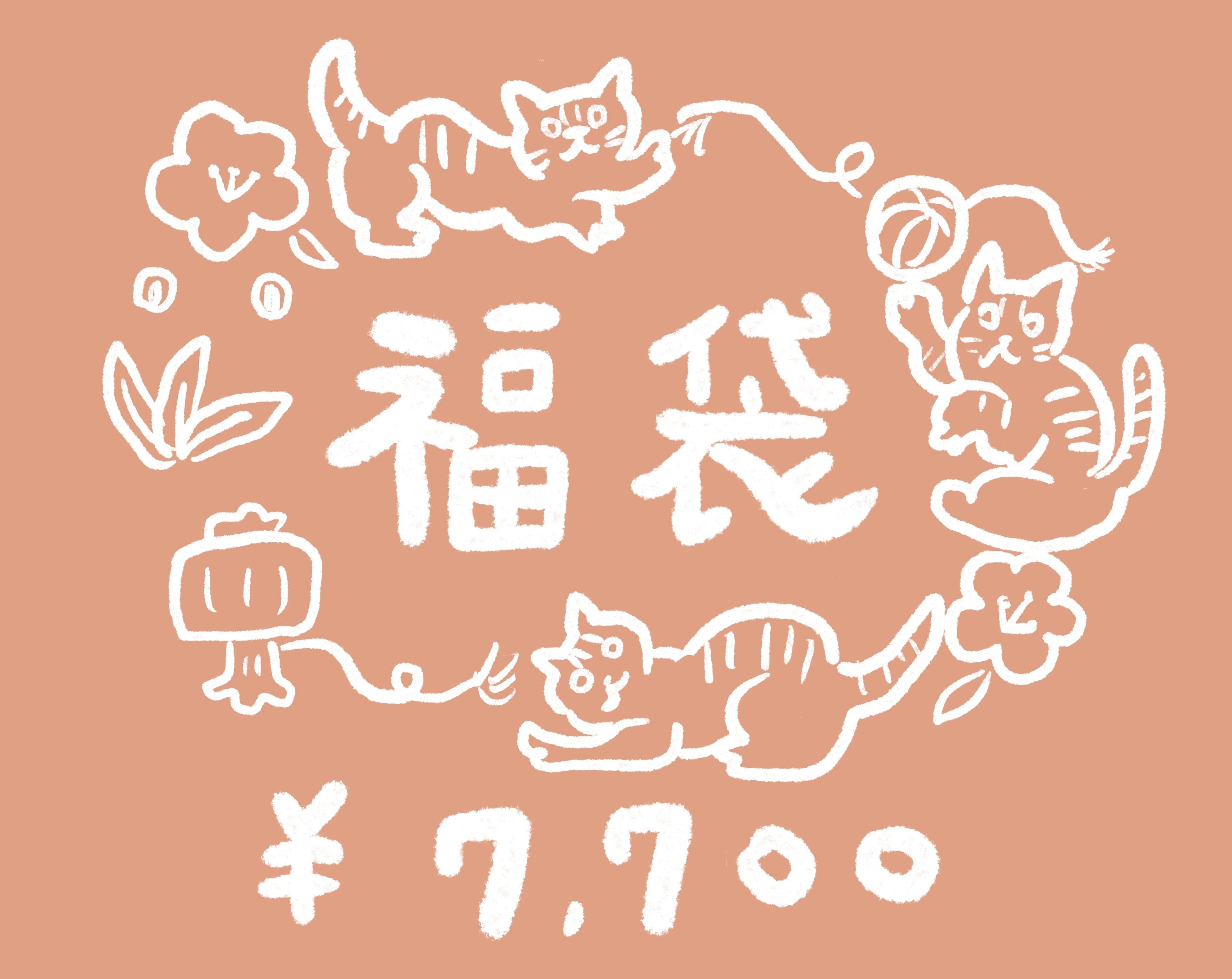 送料無料:ねこの福袋・7700円(書き下ろしイラストコースターつき)