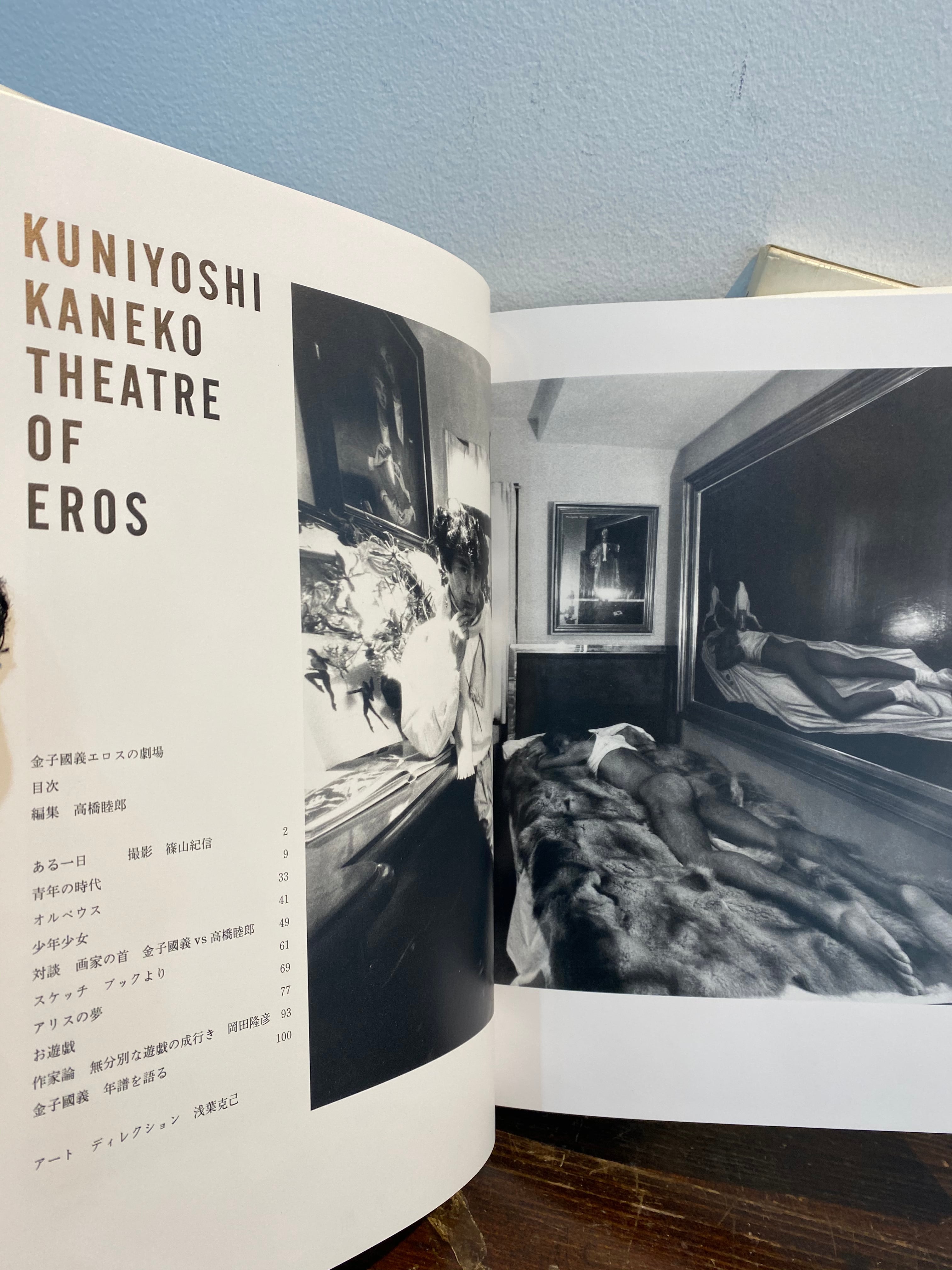 80's 金子國義エロスの劇場 | zbooks