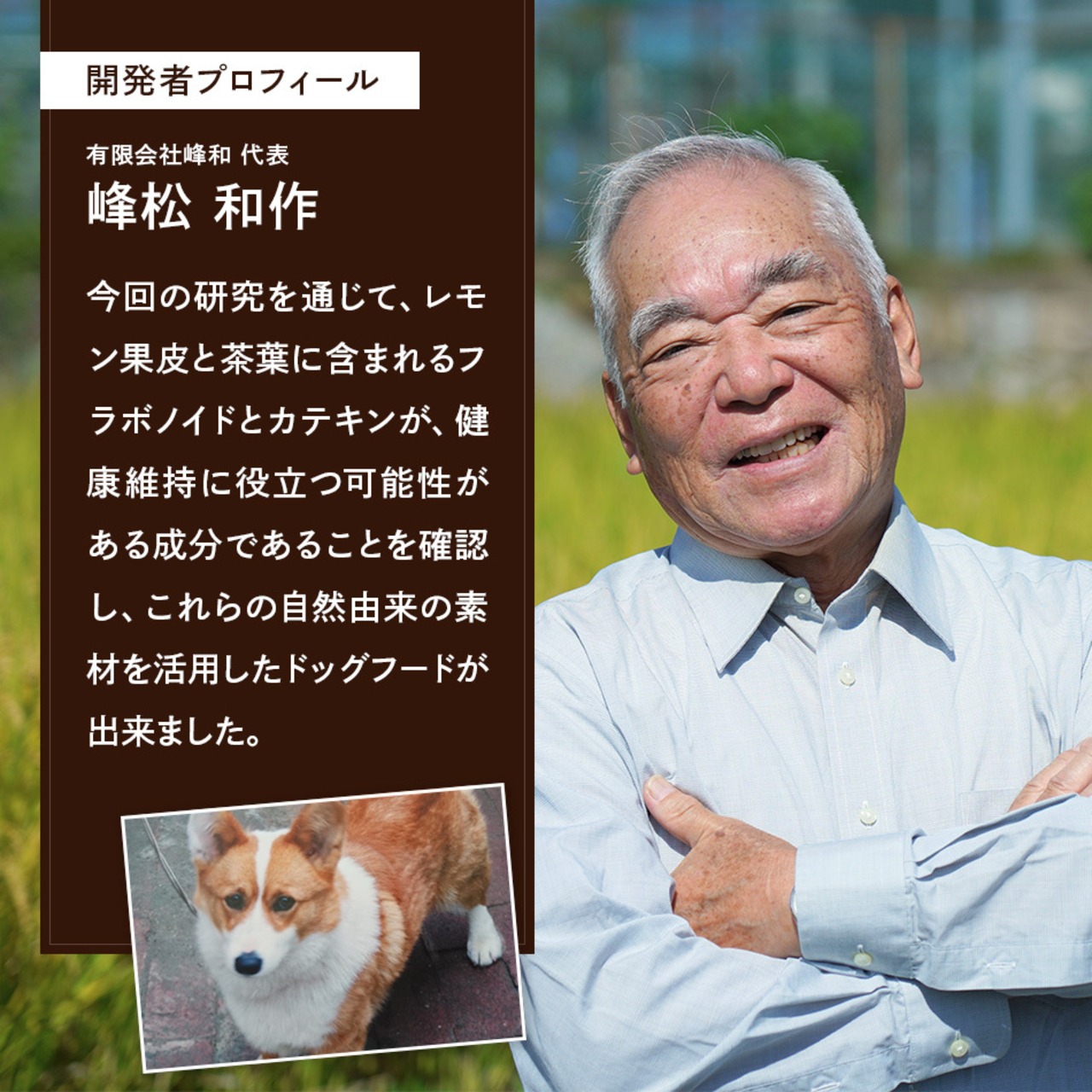 コピー：【送料無料】カテキンキューブ 4個セット｜ 犬用おやつ/ドッグフードのペットフードショップ ホウワ