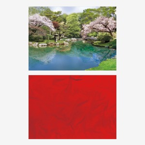 桜咲く日本庭園