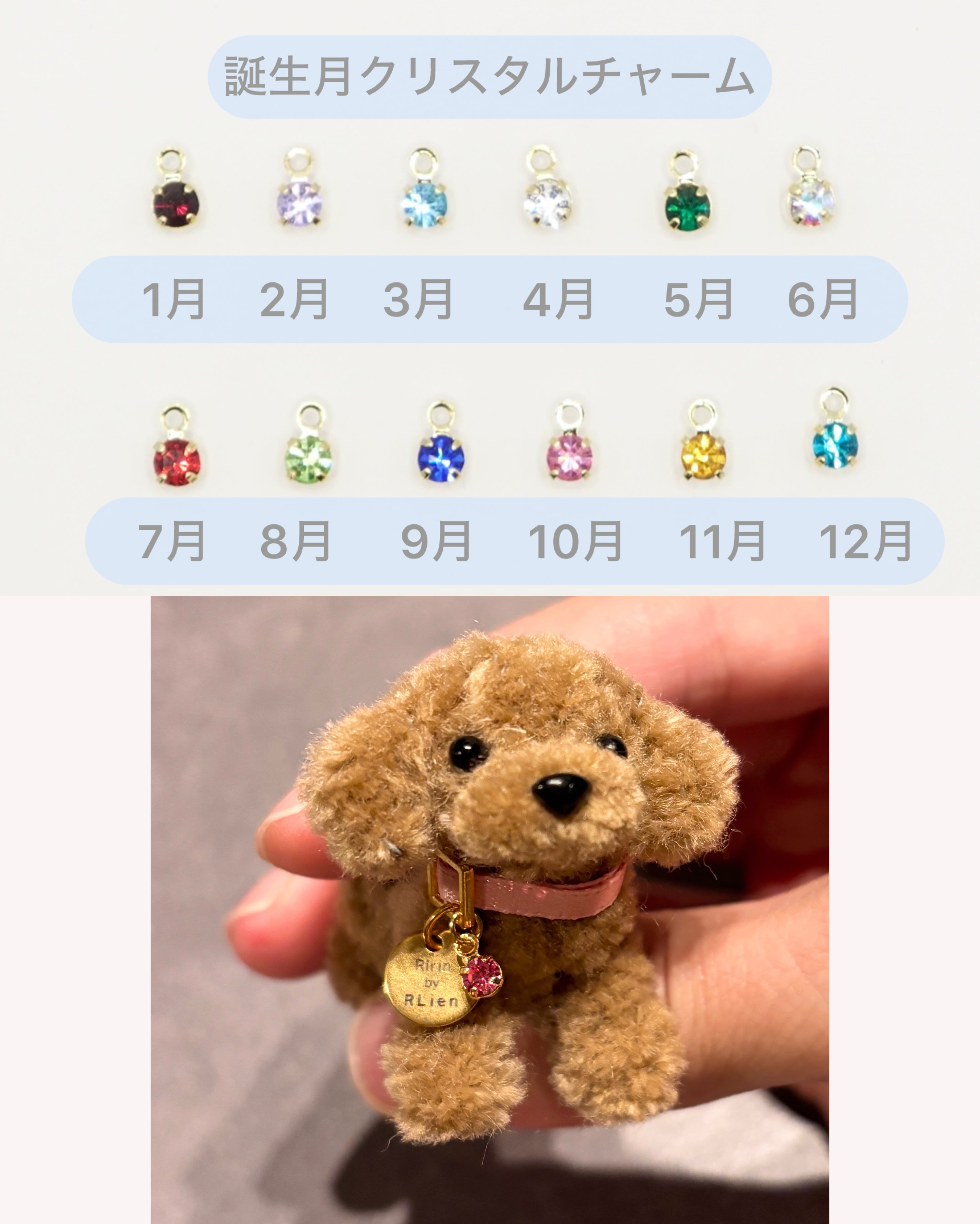 手のひらサイズのプードル｜RIrinの子（選べる10カラー） | RLien