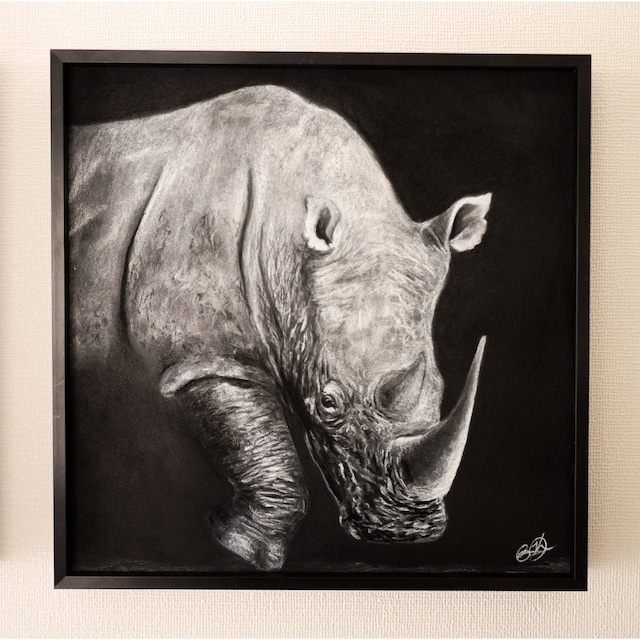 Rhino in Monochrome