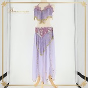 ベリーダンス オリエンタル 衣装 上下セット パープル系 トップス スカート ベルト チョーカー ベール アーム 紫 金 フリンジ 淡い 装飾 豪華 アーム飾り 腕飾り かわいい スリット 華やか ダンス衣装 イベント ステージ