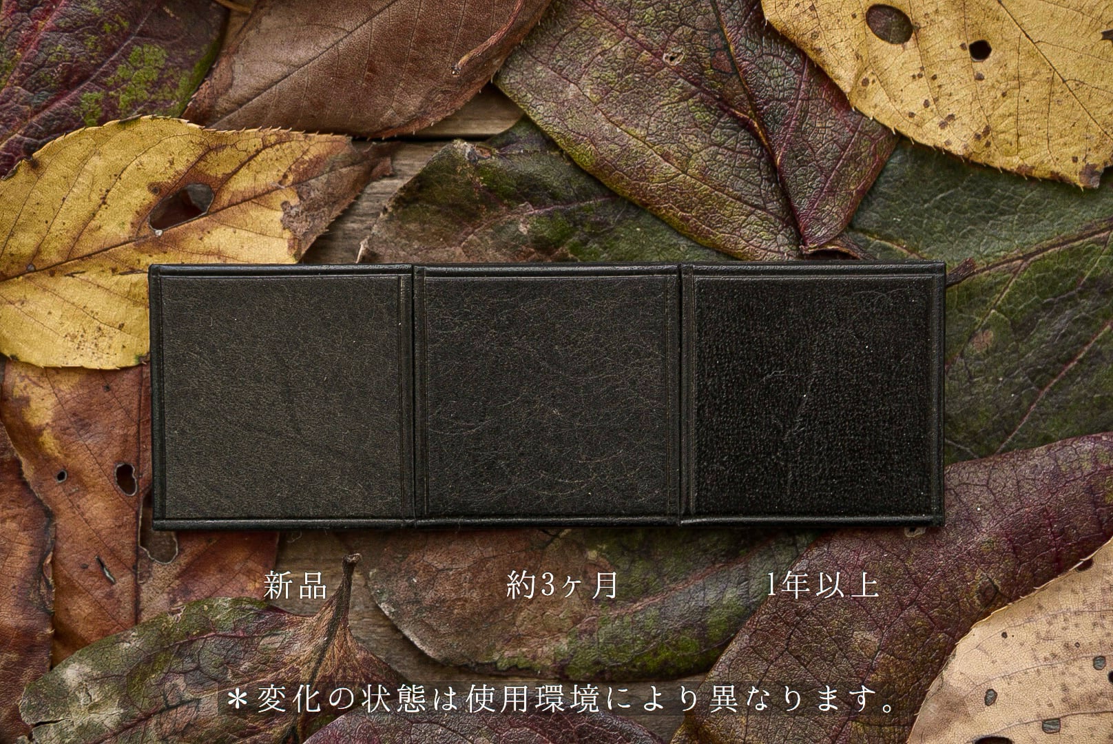 折財布 | 凩；kogarashi