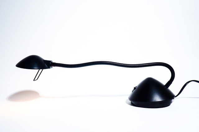 2004 360° Adjustable Desk Lamp