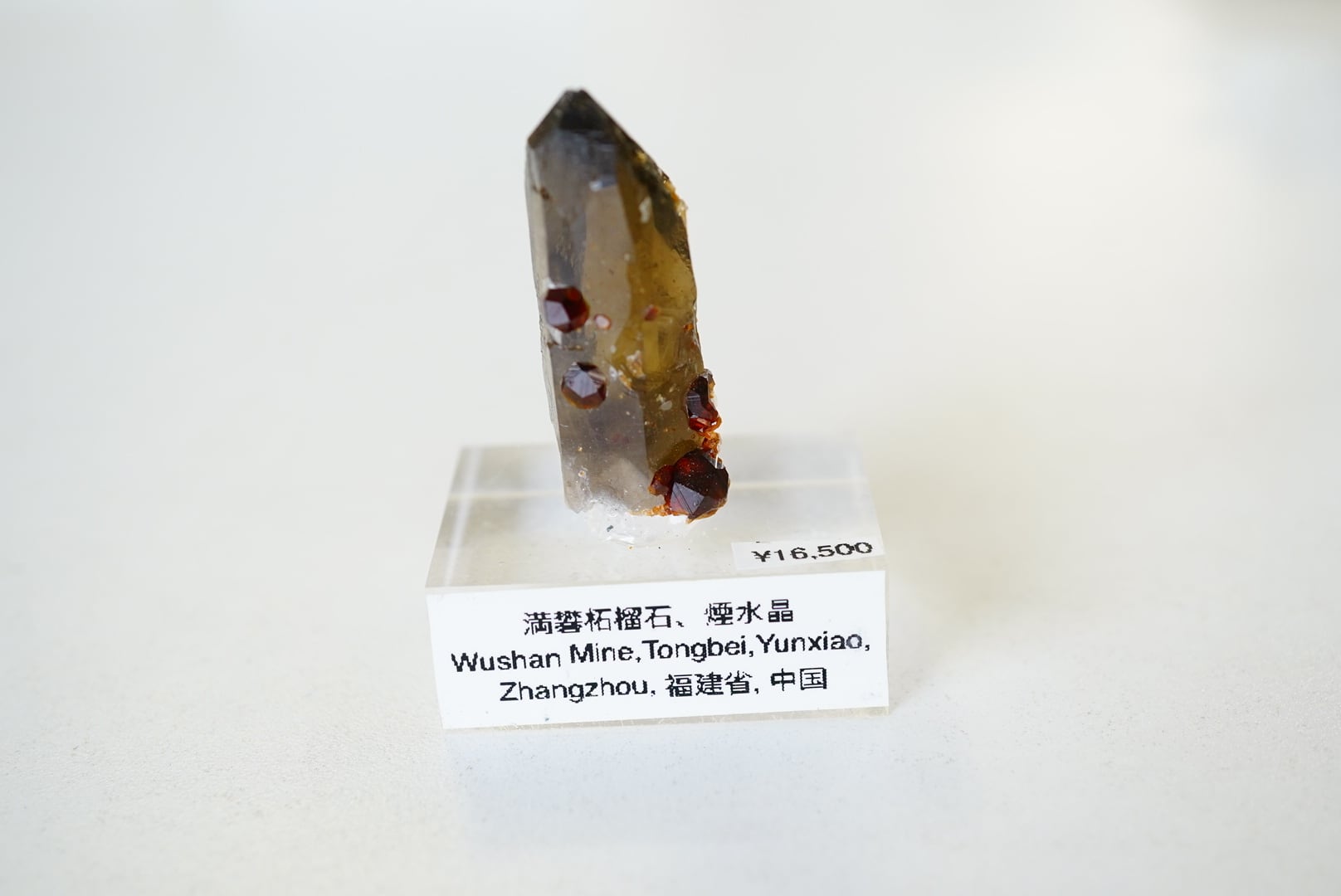 中国、福建省、Wushan 鉱山の煙水晶の上のスペサルティンガーネット⑥