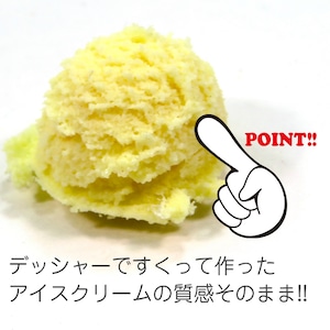 食べちゃいそうな アイスクリームマグネット 食品サンプル マグネット