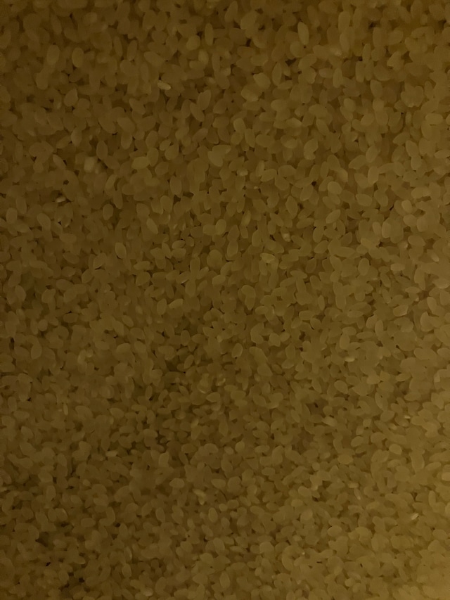ITO果樹園のコシヒカリ米 (もみ付き米)5キロ