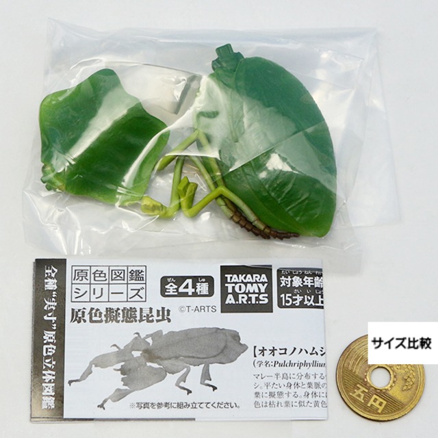 コノハカマキリ 原色図鑑シリーズ 原色擬態昆虫 精密彩色 リアル 虫 カマキリ グッズ フィギュア ガチャガチャ タカラトミーアーツ お宝市場base店 フィギュア ガチャガチャ ガチャポン 食玩 プライズ アニメ グッズ 模型 ミニチュア コノハカマキリ 原色図鑑シリーズ 原色擬態昆虫 精密彩色 リアル 虫 カマキリ グッズ フィギュア ガチャガチャ タカラトミーアーツ お宝市場base店 フィギュア ガチャガチャ ガチャポン 食玩 プライズ アニメ グッズ 模型 ミニチュア