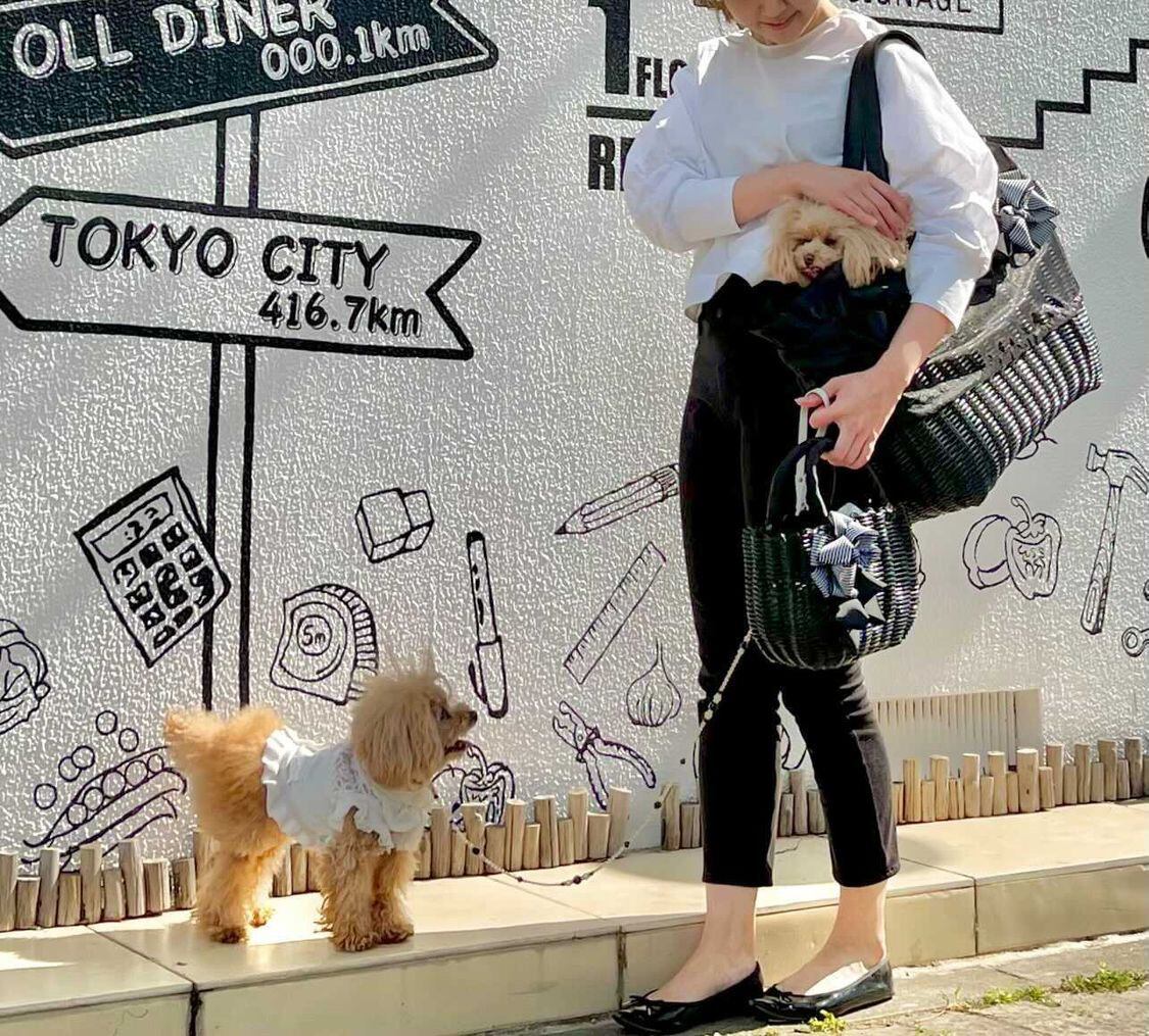 レディースカゴバッグSサイズ&ペット用カゴバッグ 4キロまでサイズ カゴキャリー ベーシックモデル