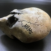 SKULLHEAD Tooth pick holder - The Skull