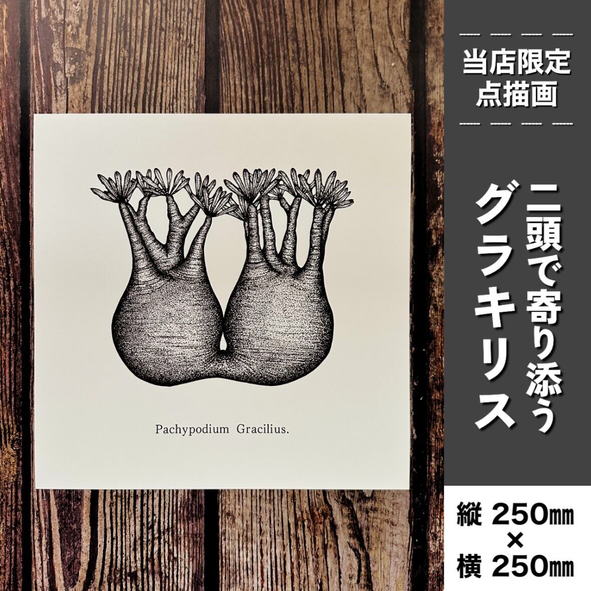 二頭で寄り添うグラキリス】点描画 | BOKUTO