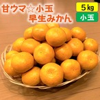 送料無料　甘ウマ☆小玉・早生みかん　５ｋｇ