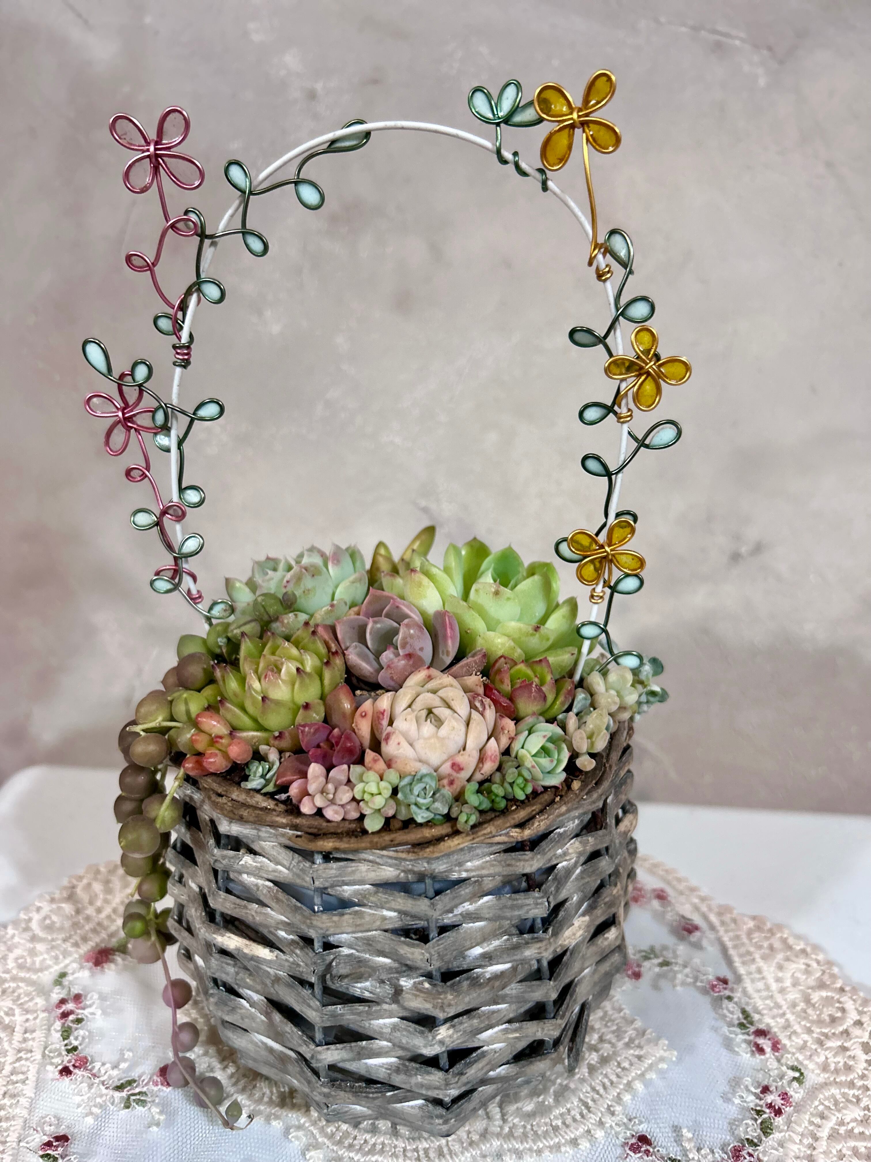多肉植物寄せ植え(籠寄せ) | PAY ID