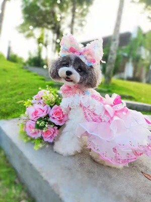 【お取り寄せ】 cocoLily. select Flower dress
