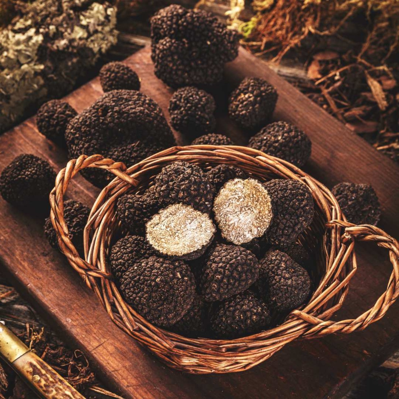 フランス産 グラスフェッド トリュフ香る山羊 乳チーズ ピカンドゥ トリュフ ア タルティネ 125g Grassfed  Truffle Goat Cheese Picandou truffe a tartiner 125g