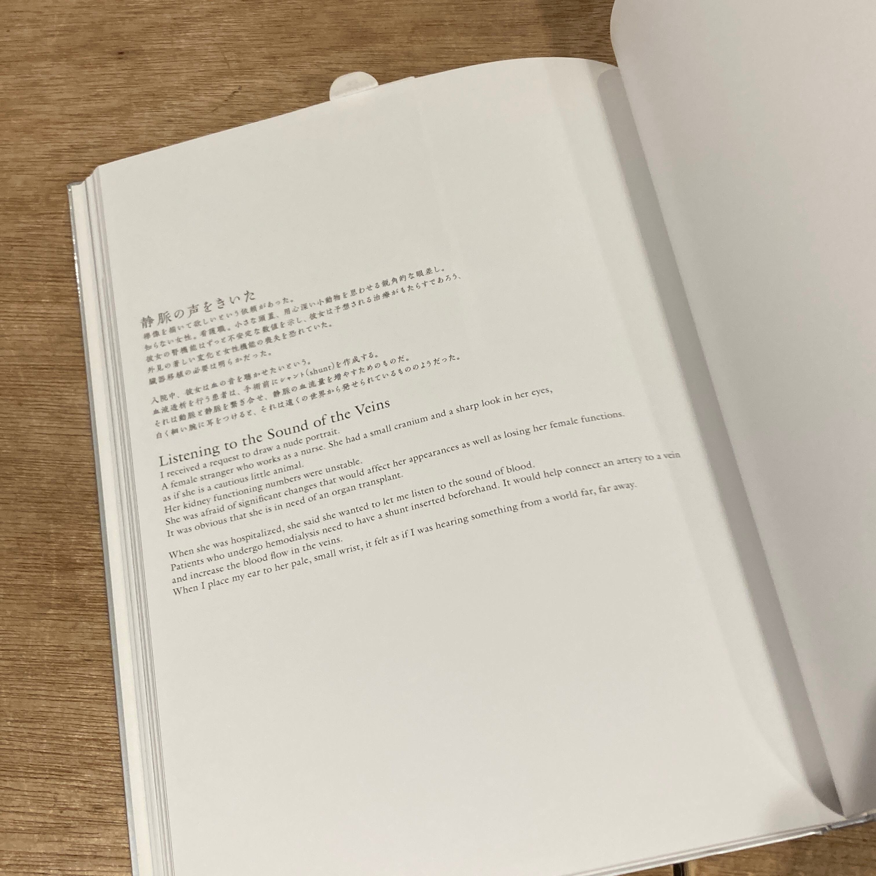 諏訪敦 絵画作品集 初版 どうせなにもみえない 諏訪敦絵画作品集 諏訪敦／著｜Yahoo!フリマ（旧