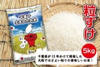 　千葉県産　粒すけ　５ｋｇ