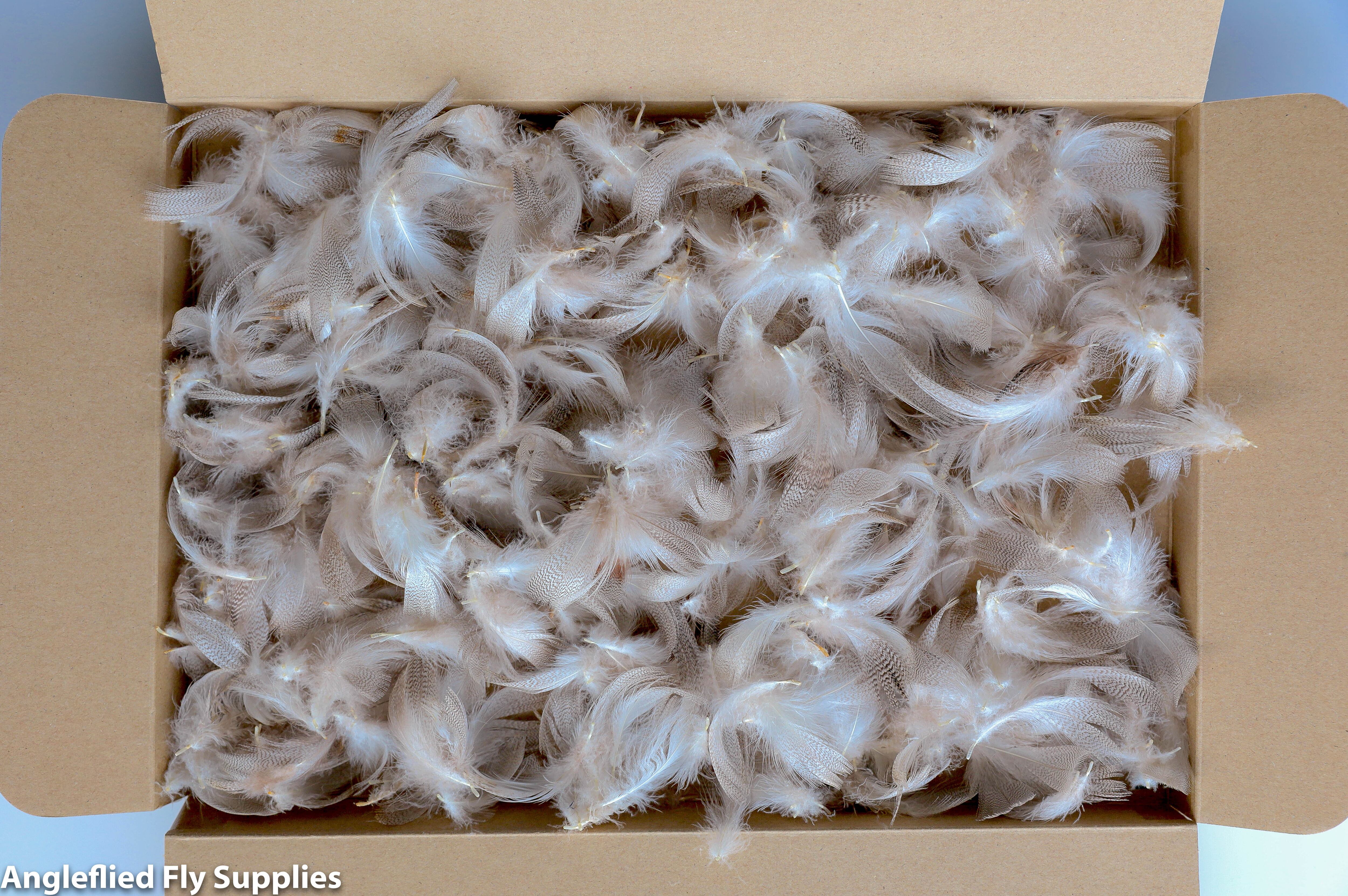 【 OUTLET 】Gray Mallard Breast Feathers 10g