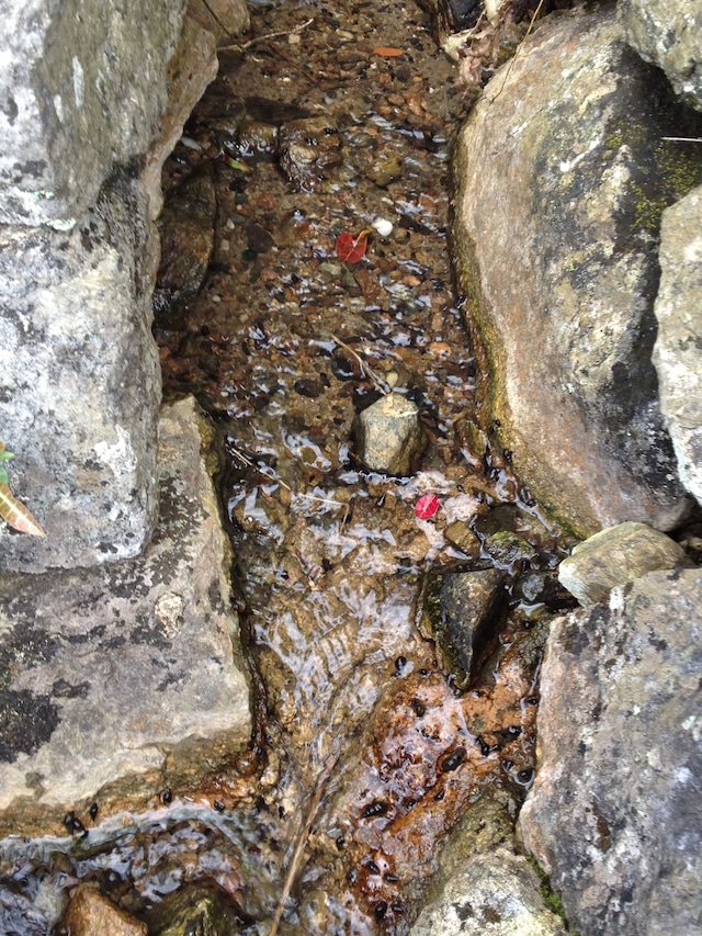 新米!!令和7年産  大自然米【3kg】無洗米