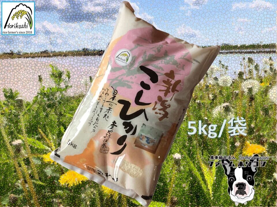令和6年度新潟産コシヒカリ5kg×6