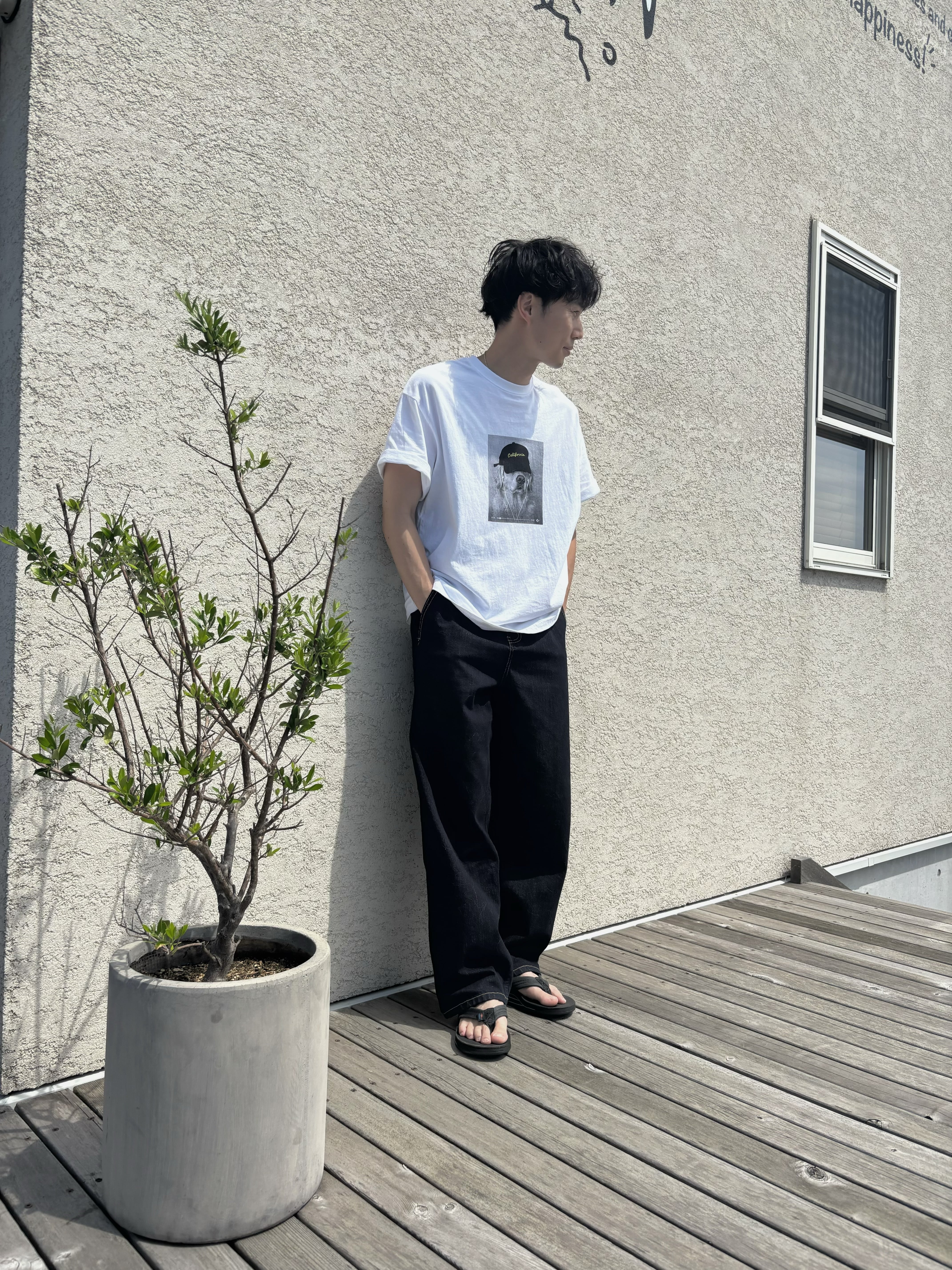 【即納-Jr.size-】Cali Puppy tee / hikiki
