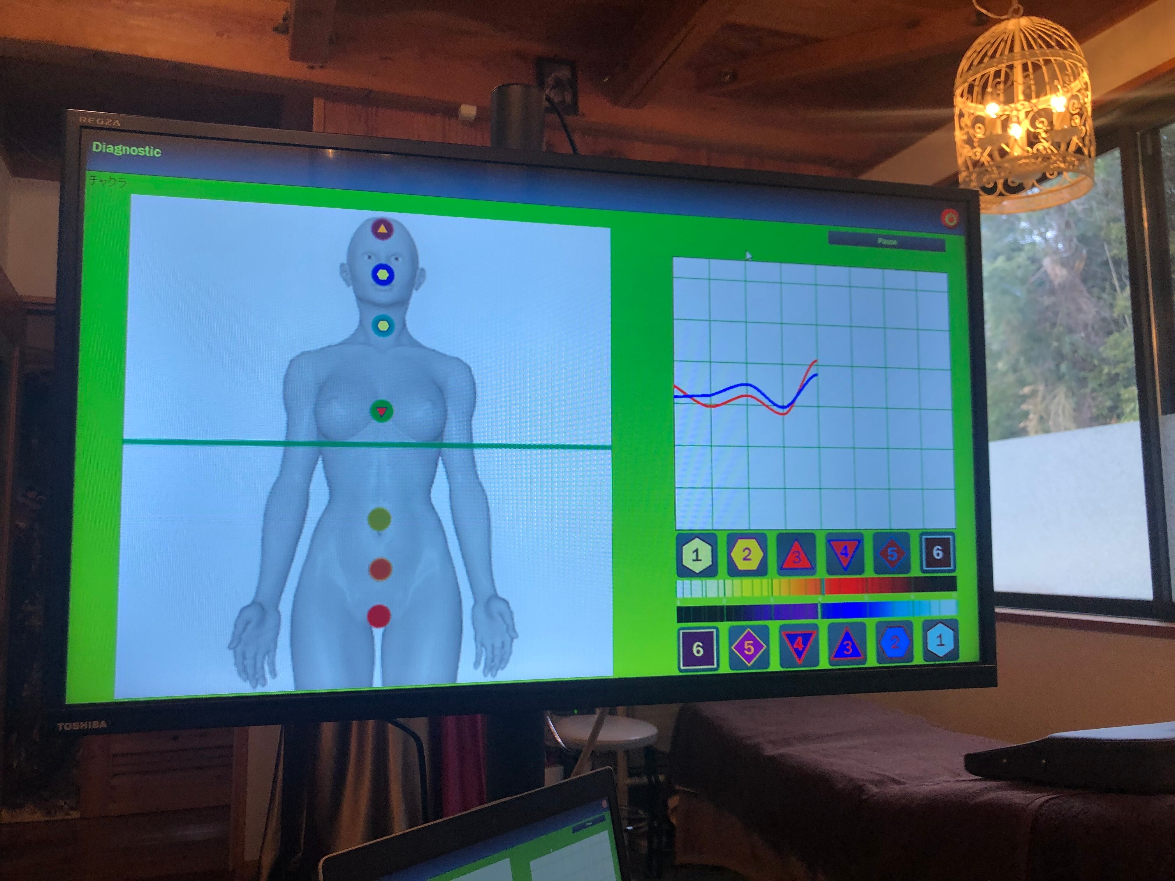 メタトロン波動測定&メタセラピー(定期コース3カ月集中/月1回)