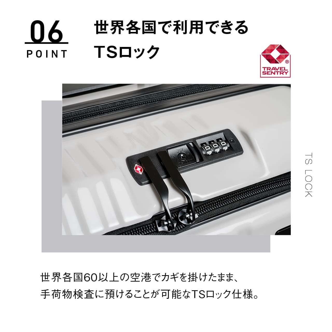 150周年記念モデル】SPALDING スポルディング スーツケース Sサイズ