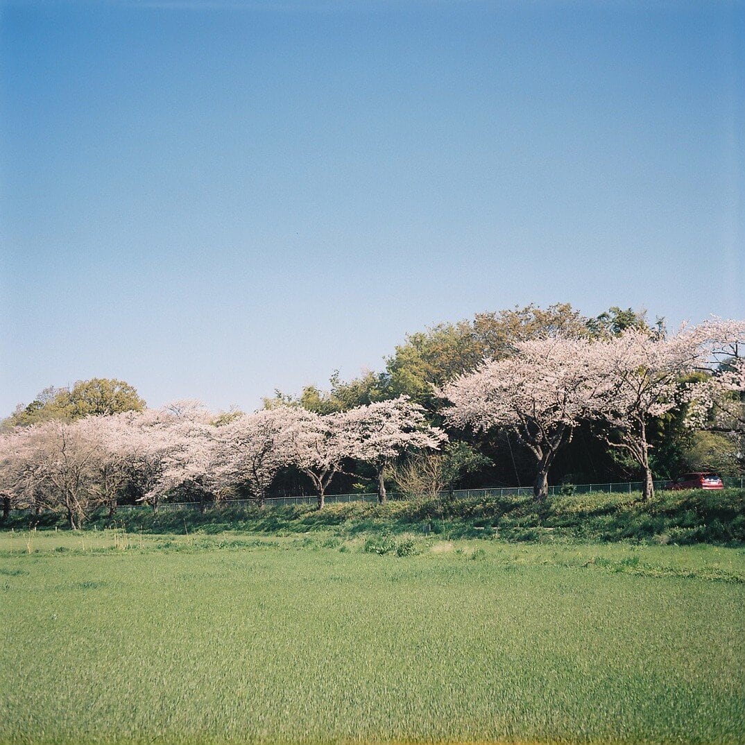 FUJICA SUPER FUJICA-6 FUJINAR 7.5cm F3.5 整備済 富士フイルム