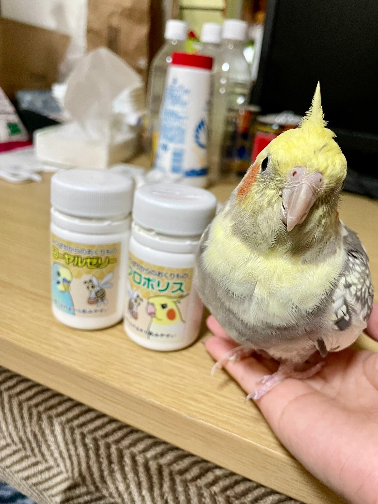 みつばちからのおくりものプロポリス(40g)・みつばちからのおくりもの