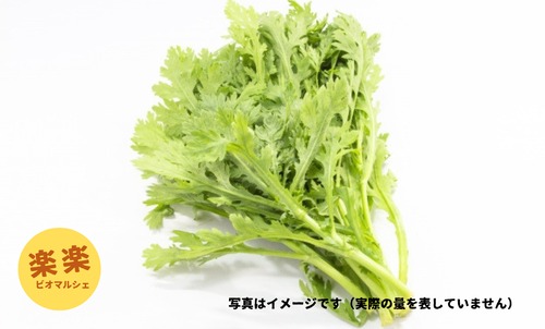 サラダ春菊