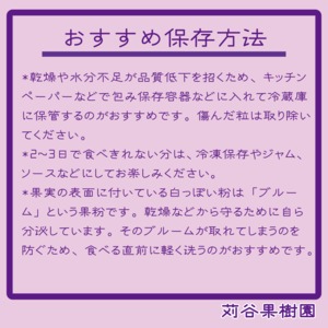 【3箱セット】【2026.7.1以降順次発送】【M～L】ブルーベリー約3kg《1箱250g×4パック入×3箱》