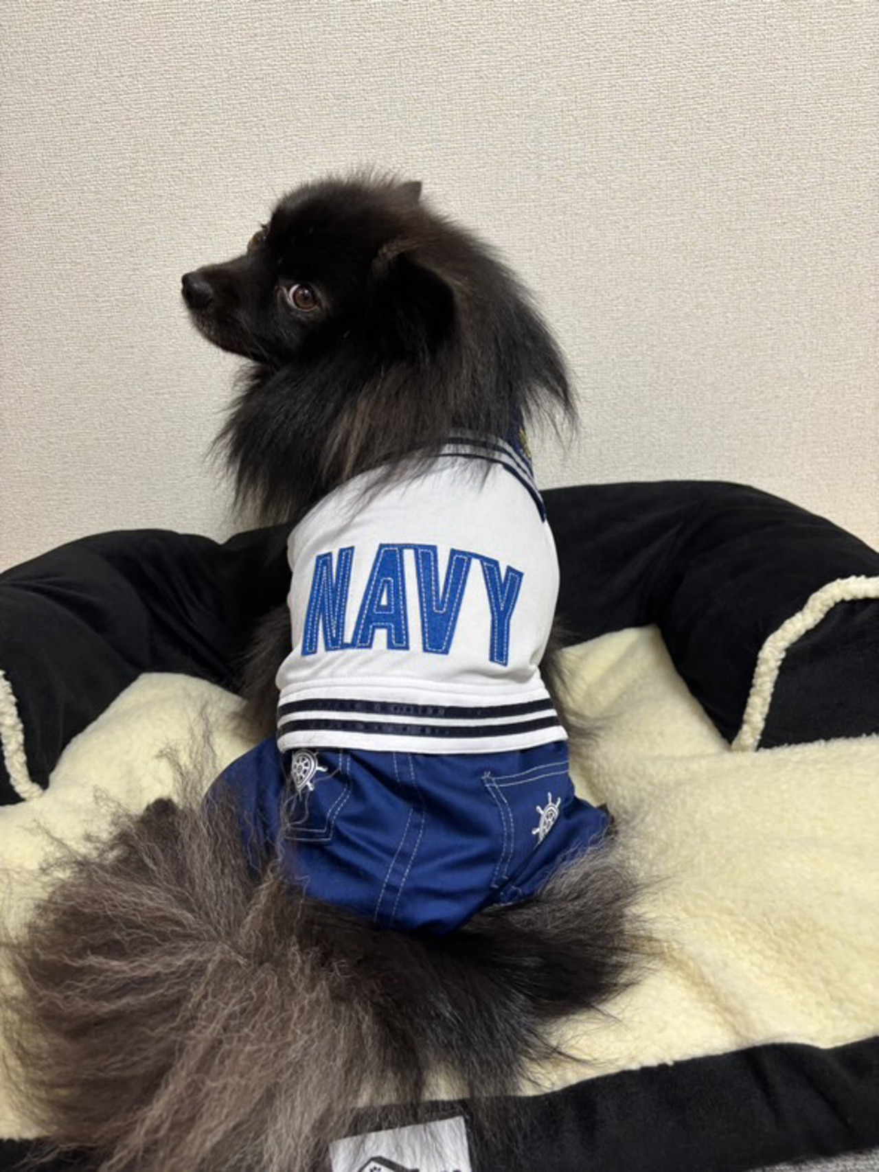 【NALU  select】セーラーオールインワン　