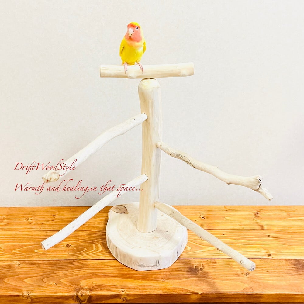 流木の止まり木 取り外しができる止まり木スタンド Mサイズ インコ