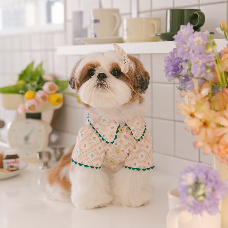 S.M/即納【Rolling pepe】Pastel Popcorn Blouse (Green)
