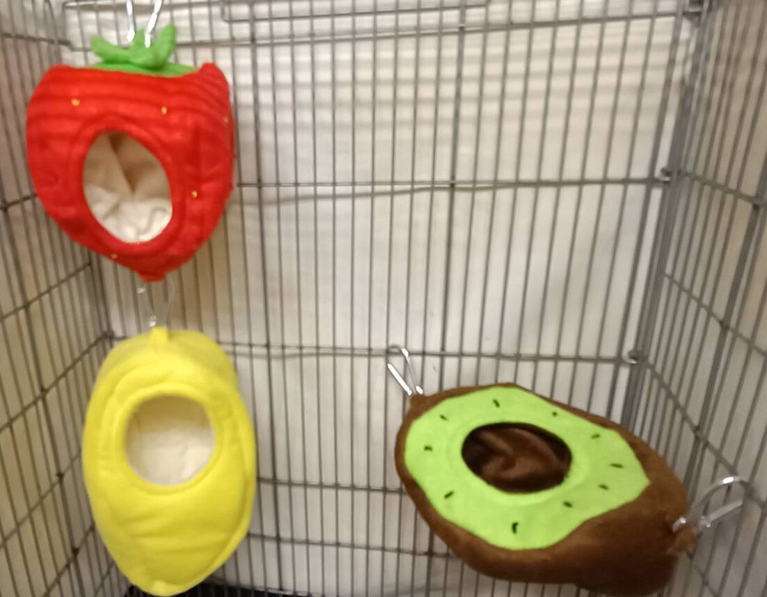 【小動物用品】もりもりフルーツポット 3点セット