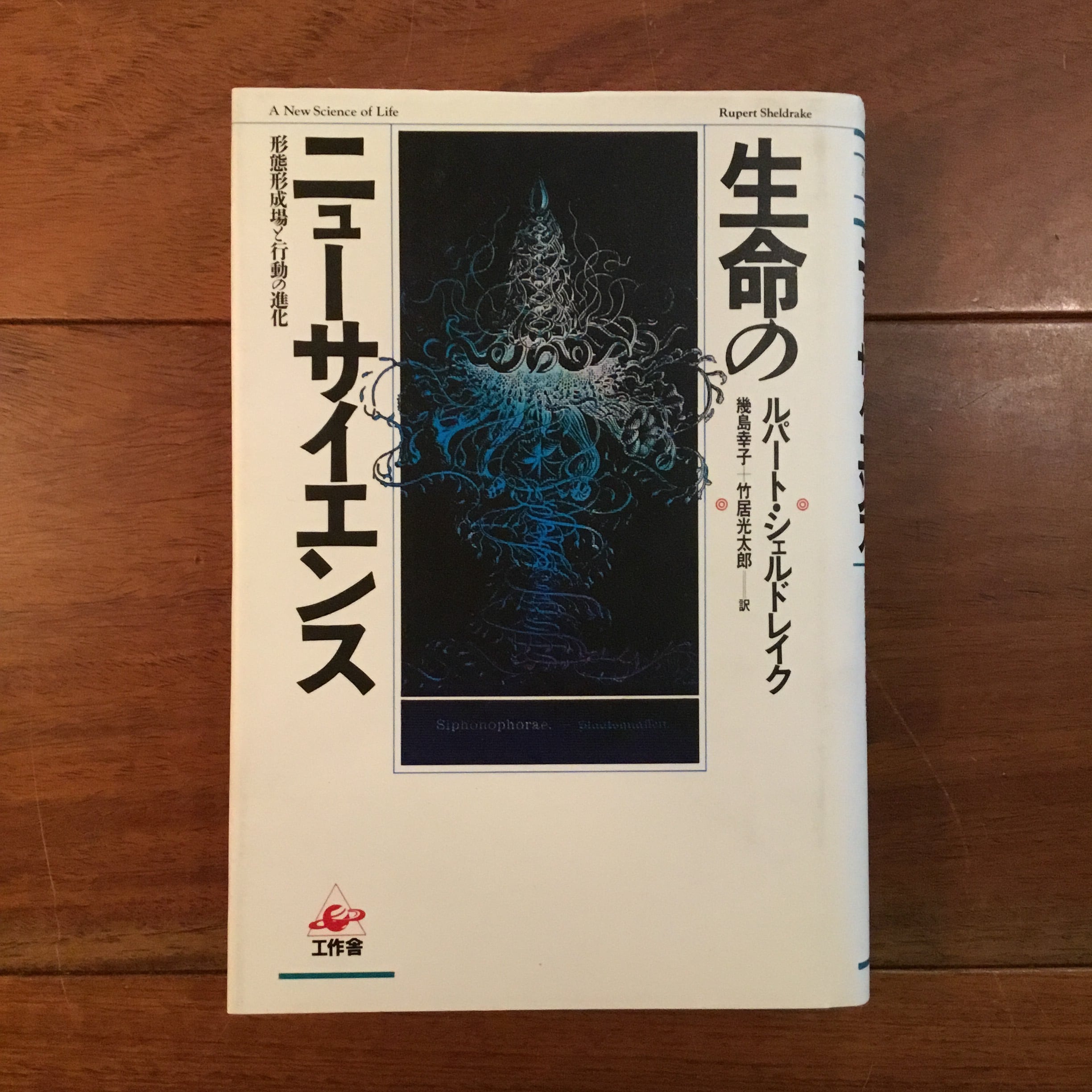 錬金術図像大全 | Flying Books