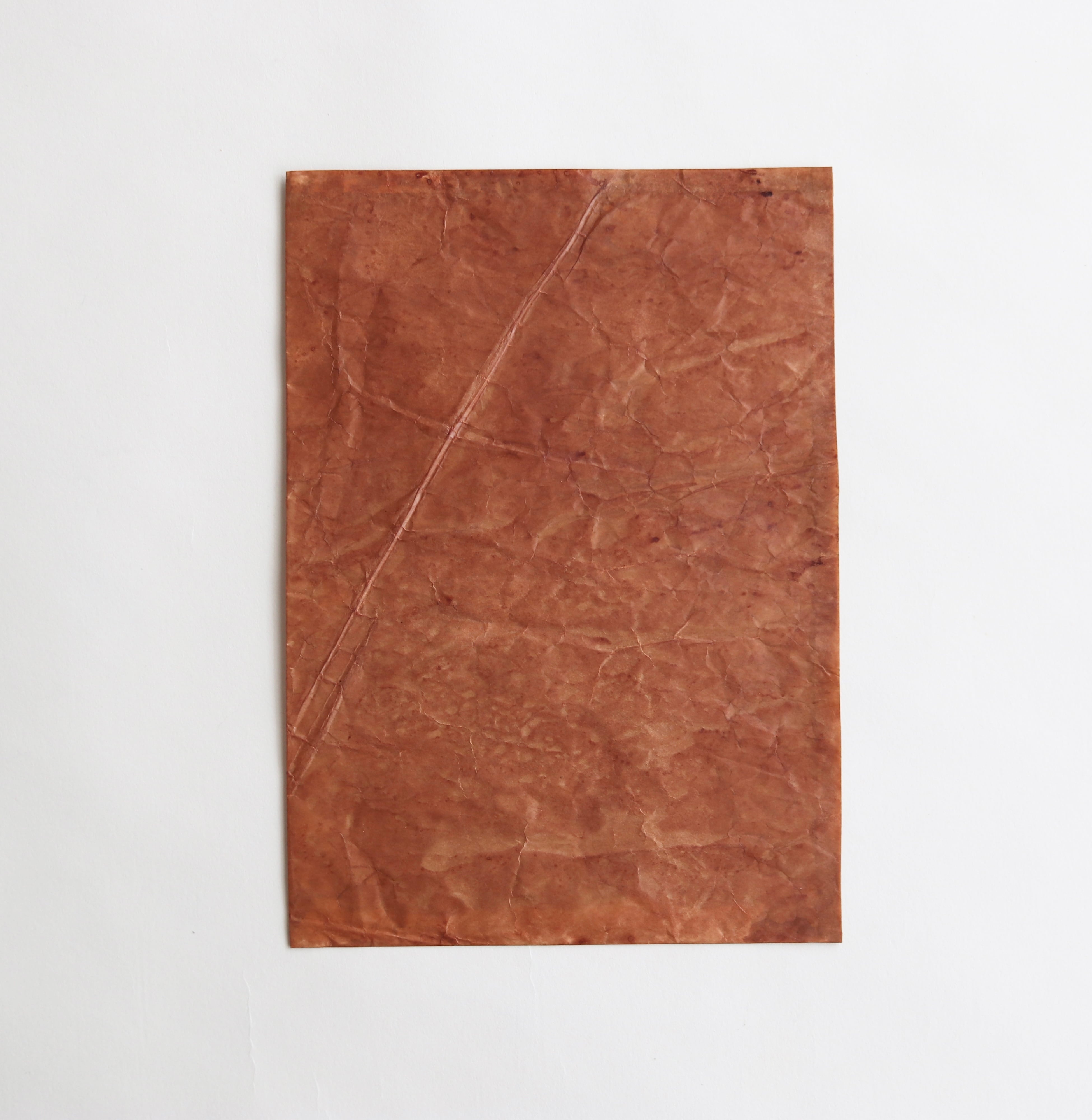 草木染ロウ引き紙ファイル 全3色 | 草木染レザー Sou-no-Iro