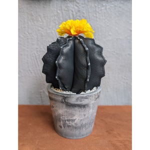 【ARCANA】Leather Cactus  M/Black