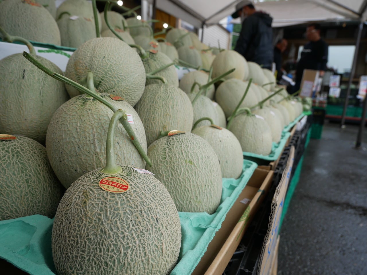 メロン様 ダンロップ Diacluster RIM10.0 G1 Kawasaki ZZR1200 02-05