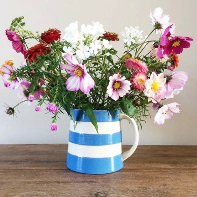 【cornishware】ジャグ｜Mサイズ