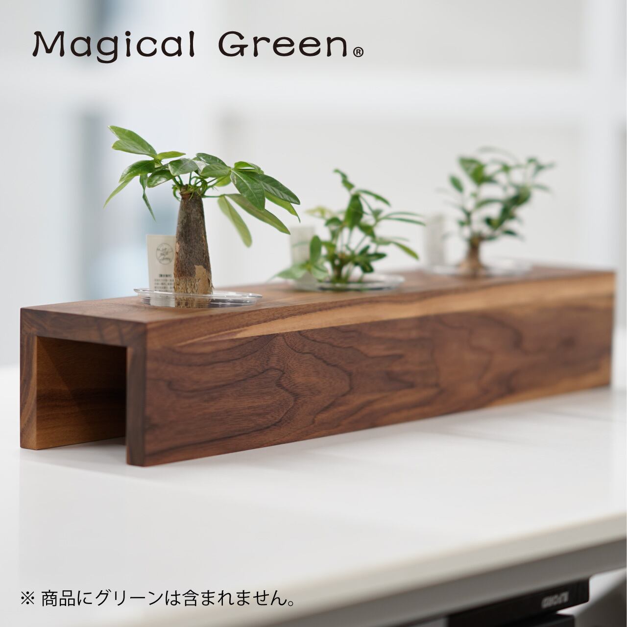 マジカルグリーン・Magical Green 専用スタンド ウォルナット