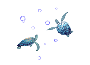 ウミガメ（SEA TURTLE）PNGファイル