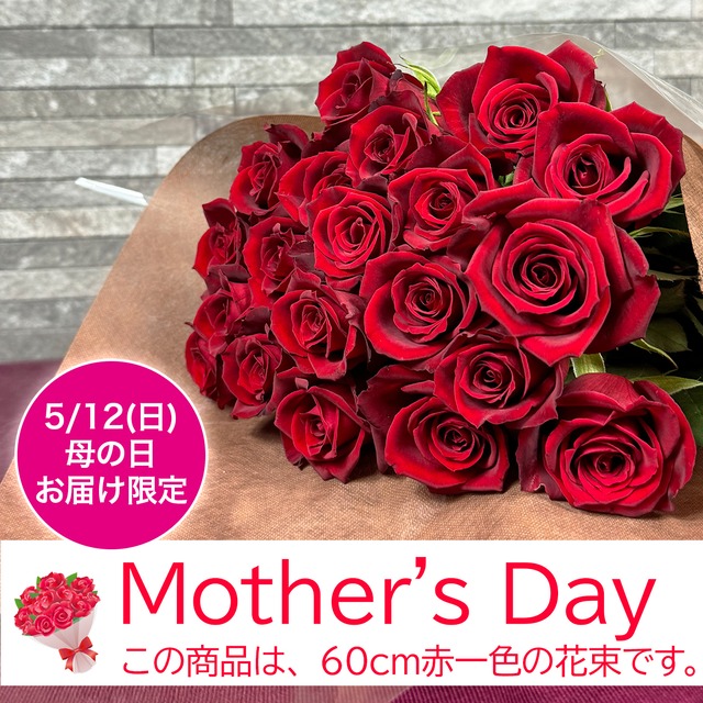60cm赤一色♪母の日にお届けバラの花束